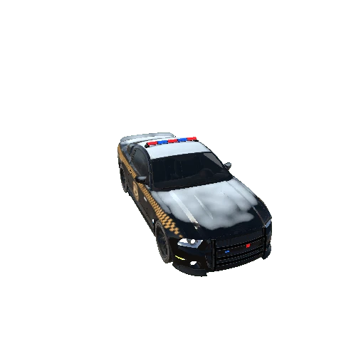 Versatile Car Batched Police Black Gold Snow